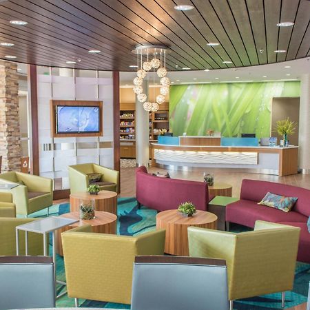 Springhill Suites By Marriott Sumter Exterior foto